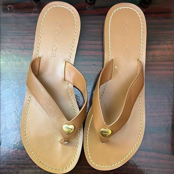 Coach Saddle Ellis LTR THNG - Picture 7 of 13